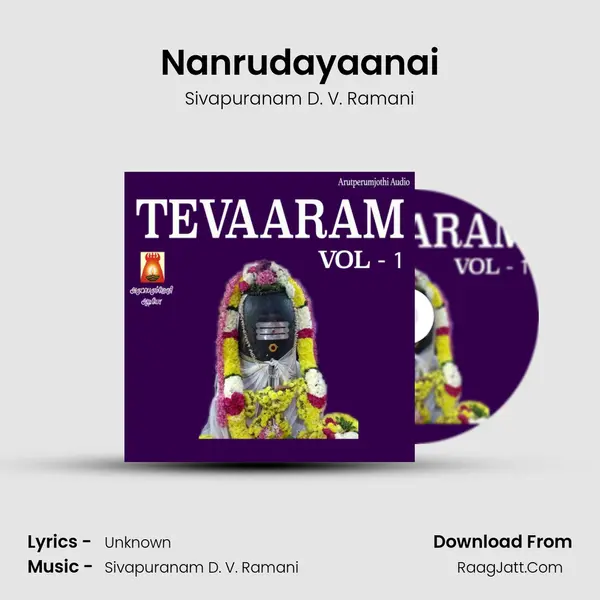Nanrudayaanai MP3 Song by Sivapuranam D. V. Ramani Cover