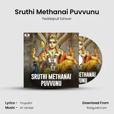 Sruthi Methanai Puvvunu - 