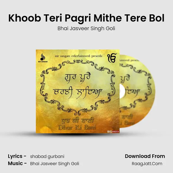 Khoob Teri Pagri Mithe Tere Bol MP3 Song by Bhai Jasveer Singh Goli Cover