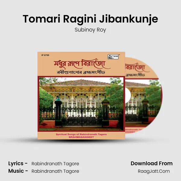 Tomari Ragini Jibankunje MP3 Song by Subinoy Roy Cover