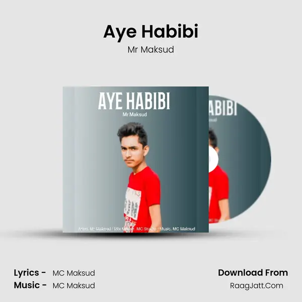 Aye Habibi mp3 song