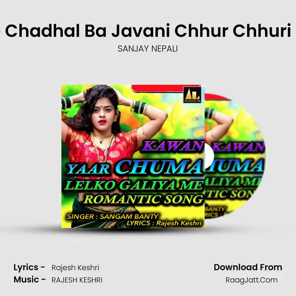 Jab Se Chadhal Ba Javani Chhur Chhuri Lagelu MP3 Song by SANJAY NEPALI Cover