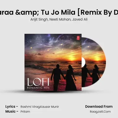 Mere Yaaraa &amp; Tu Jo Mila (From Love In Lo-Fi Volume 1)[Remix By Dj Chetas, mp3 song