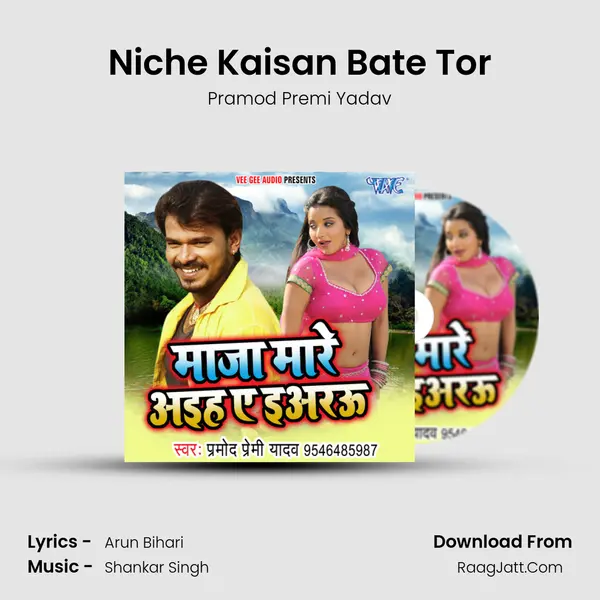 Niche Kaisan Bate Tor MP3 Song by Pramod Premi Yadav Cover