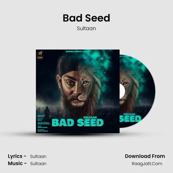 Bad Seed MP3 Song by Sultaan Cover