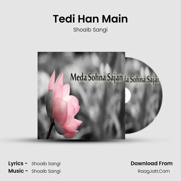 Tedi Han Main mp3 song