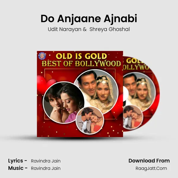 Do Anjaane Ajnabi Cover