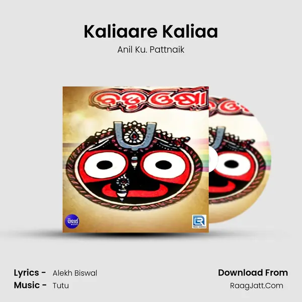 Kaliaare Kaliaa MP3 Song by Anil Ku. Pattnaik Cover