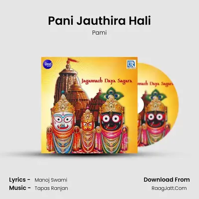 Pani Jauthira Hali MP3 Song by Pami Cover