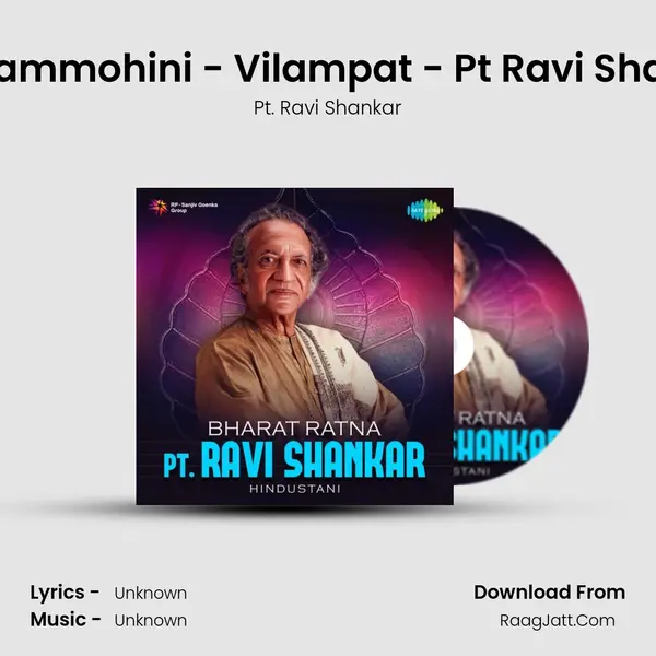 Jansammohini - Vilampat - Pt Ravi Shankar Cover