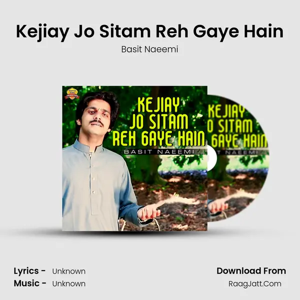 Kejiay Jo Sitam Reh Gaye Hain MP3 Song by Basit Naeemi Cover