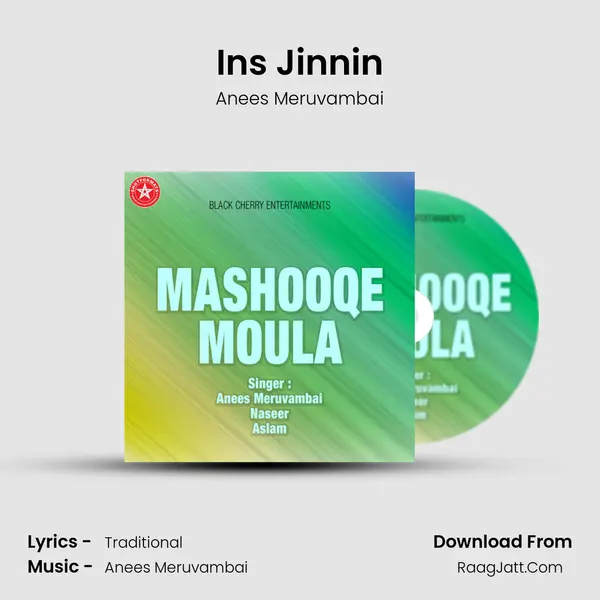 Ins Jinnin MP3 Song by Anees Meruvambai Cover