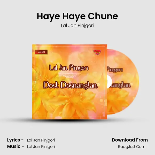 Haye Haye Chune MP3 Song by Lal Jan Pinjgori Cover