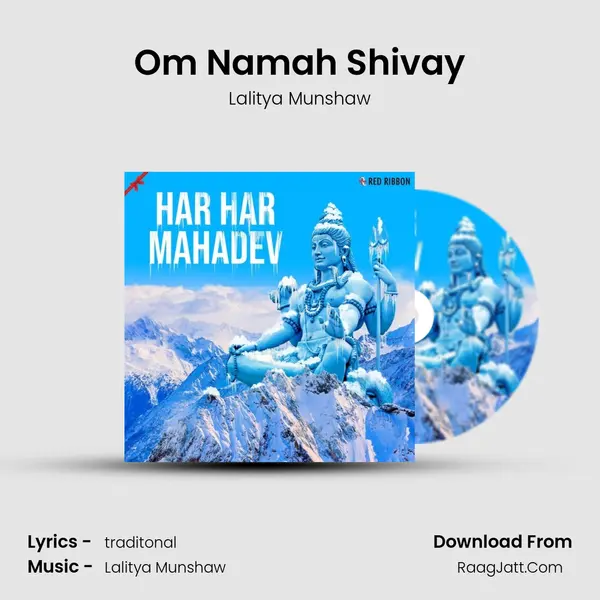 Om Namah Shivay Cover