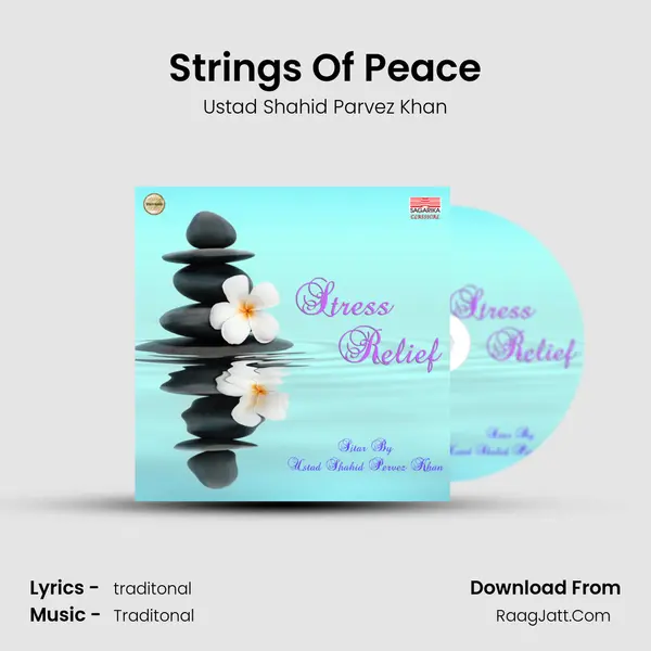 Ustad Shahid Parvez Khan
