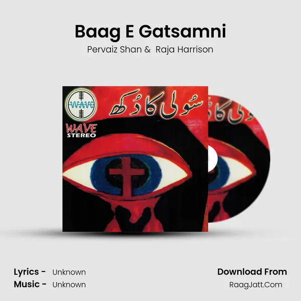 Baag E Gatsamni MP3 Song by Pervaiz Shan Cover