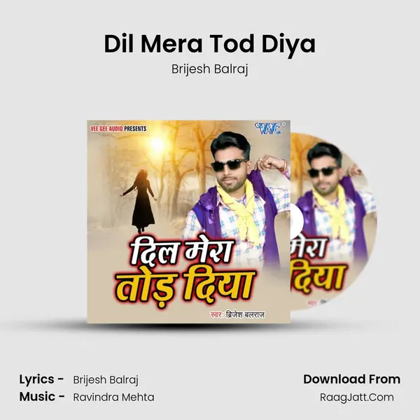 Dil Mera Tod Diya - 