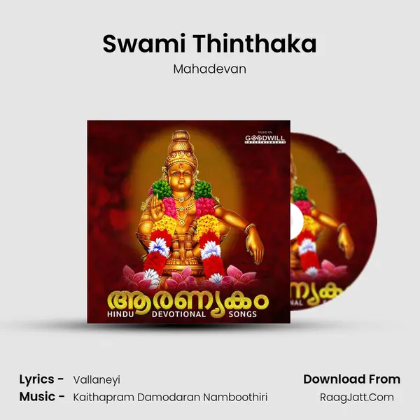Swami Thinthaka MP3 Song by Mahadevan Cover