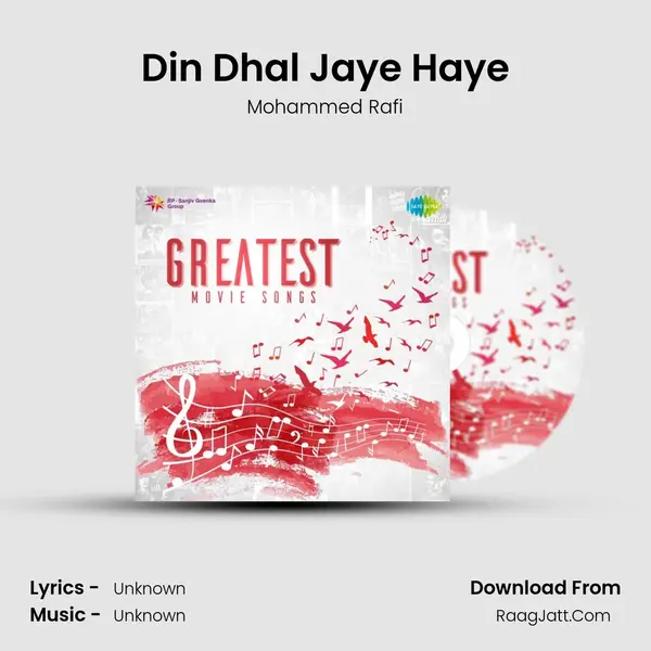Din Dhal Jaye Haye Cover