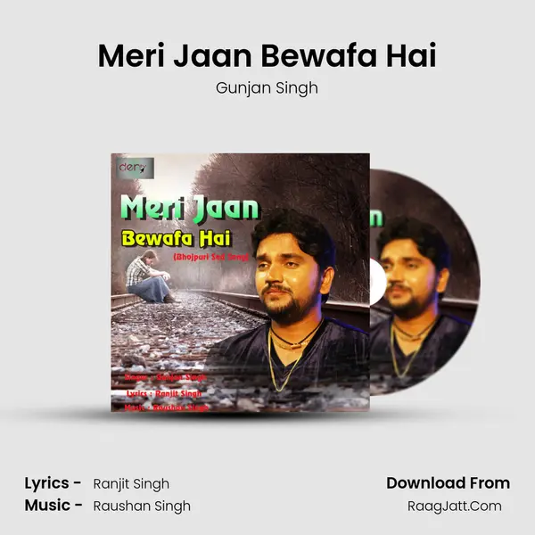 Meri Jaan Bewafa Hai - Gunjan Singh
