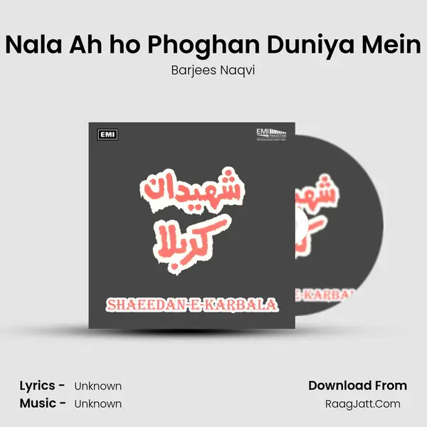 Nala Ah ho Phoghan Duniya Mein MP3 Song by Barjees Naqvi Cover