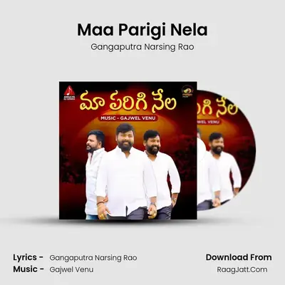 Maa Parigi Nela - Gangaputra Narsing Rao