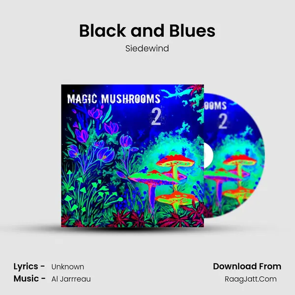 Black and Blues MP3 Song by Siedewind Cover