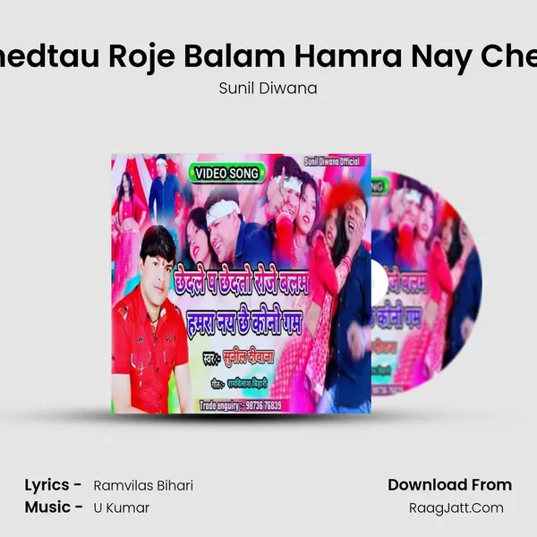 Chedle Pe Chedtau Roje Balam Hamra Nay Che kawno gam Cover