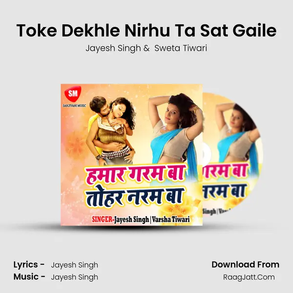 Toke Dekhle Nirhu Ta Sat Gaile mp3 song