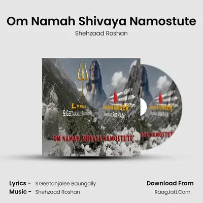 Om Namah Shivaya Namostute MP3 Song by Shehzaad Roshan Cover