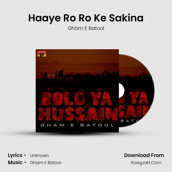 Haaye Ro Ro Ke Sakina MP3 Song by Gham E Batool Cover