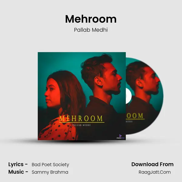 Mehroom MP3 Song by Pallab Medhi Cover