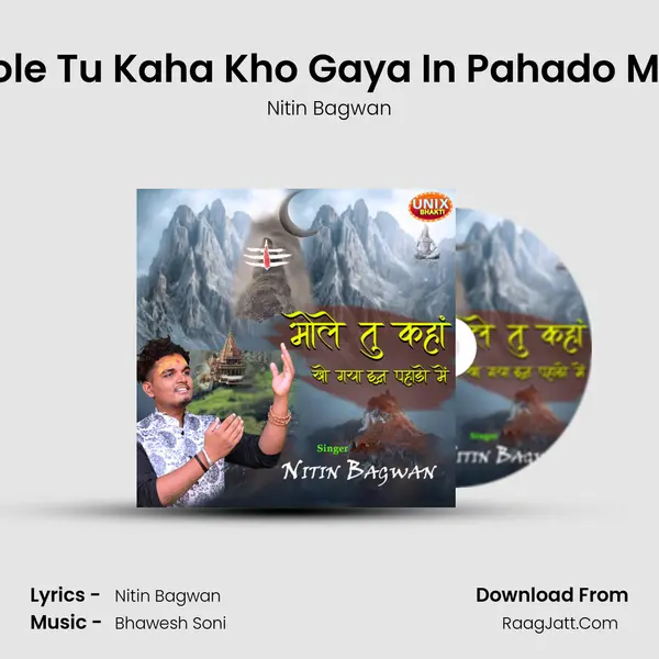 Bhole Tu Kaha Kho Gaya In Pahado Mein MP3 Song by Nitin Bagwan Cover