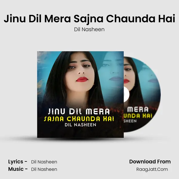 Dil Nasheen