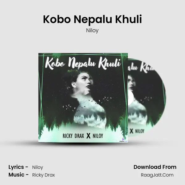 Kobo Nepalu Khuli MP3 Song by Niloy Cover