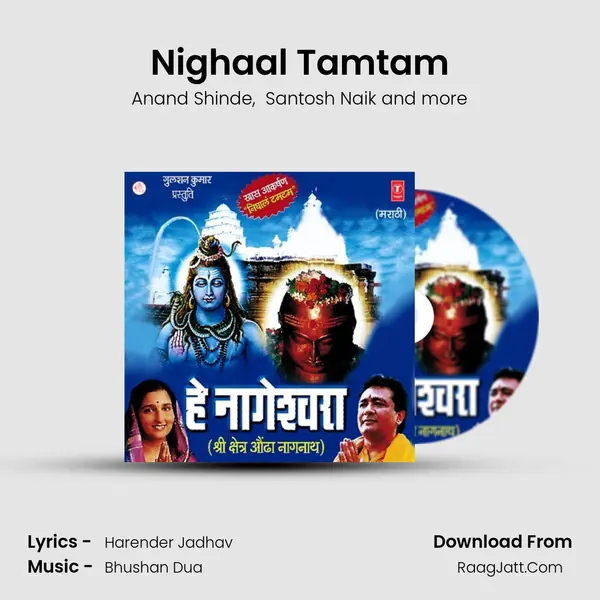 Nighaal Tamtam MP3 Song by Anand Shinde Cover
