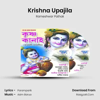 Krishna Upajila MP3 Song by Rameshwar Pathak Cover