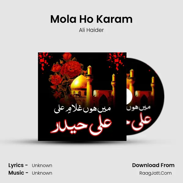 Mola Ho Karam MP3 Song by Ali Haider Cover