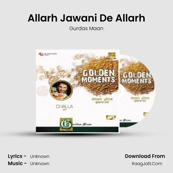 Allarh Jawani De Allarh Cover