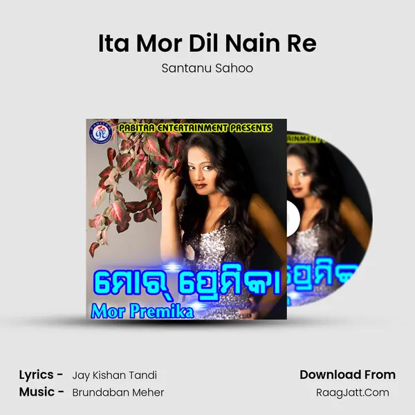 Ita Mor Dil Nain Re MP3 Song by Santanu Sahoo Cover