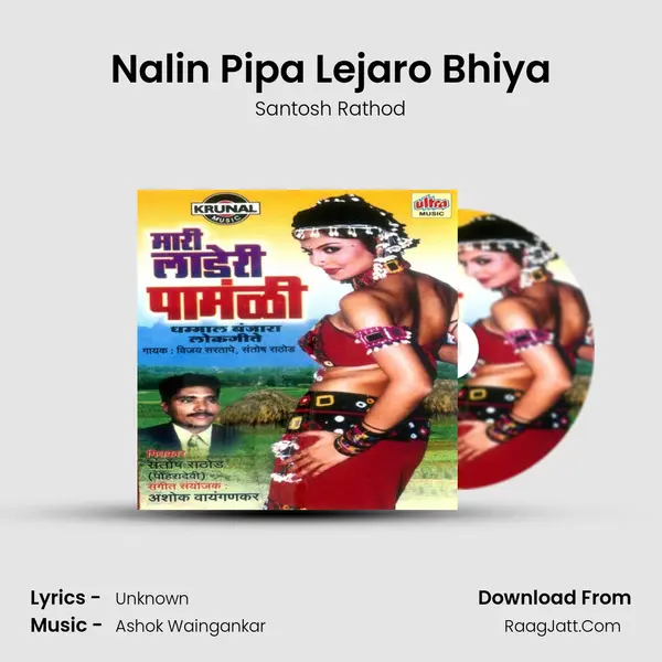 Nalin Pipa Lejaro Bhiya MP3 Song by Santosh Rathod Cover