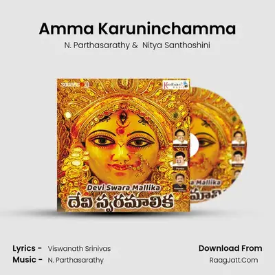 Amma Karuninchamma MP3 Song by N. Parthasarathy Cover