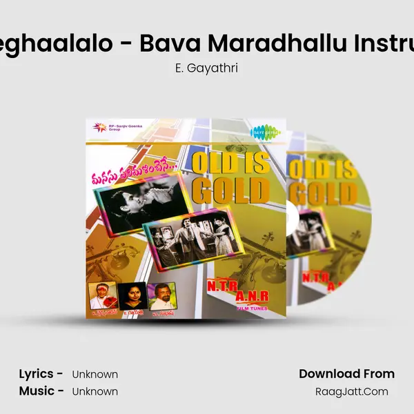 Neeli Meghaalalo - Bava Maradhallu Instrumental MP3 Song by E. Gayathri Cover