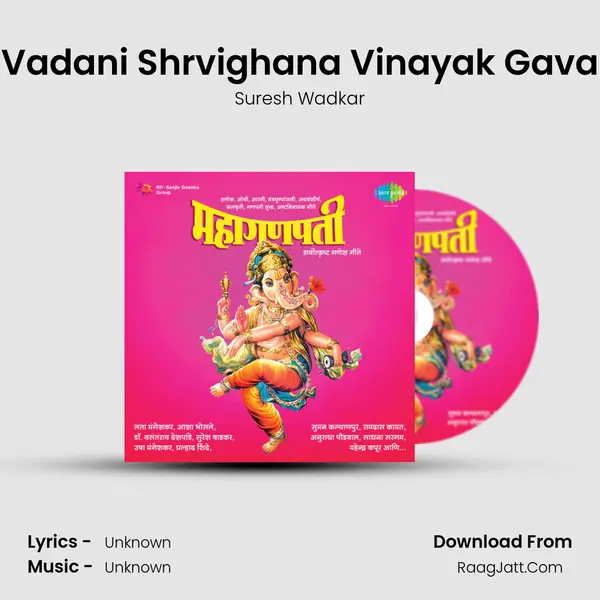 Vadani Shrvighana Vinayak Gava Cover