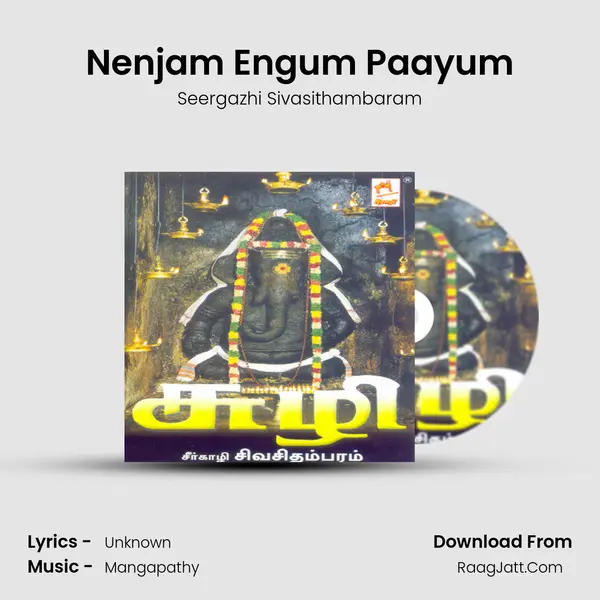Nenjam Engum Paayum MP3 Song by Seergazhi Sivasithambaram Cover