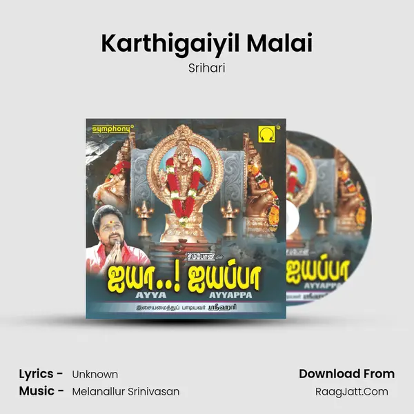 Karthigaiyil Malai MP3 Song by Srihari Cover
