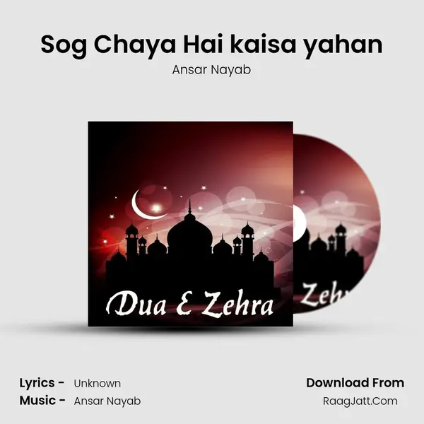Sog Chaya Hai kaisa yahan MP3 Song by Ansar Nayab Cover