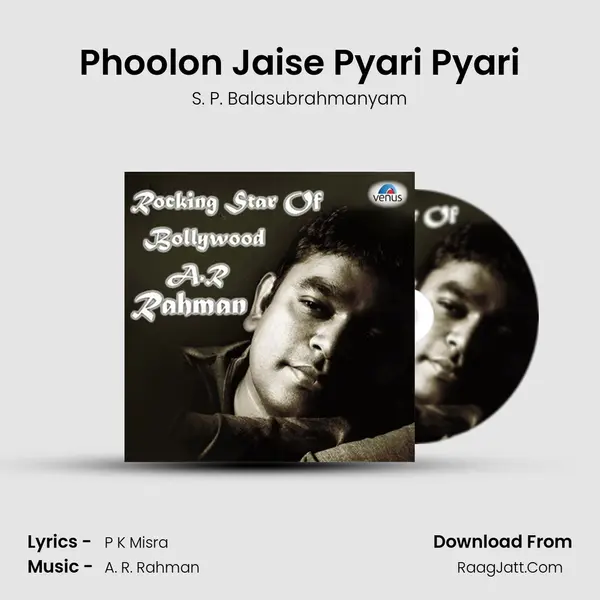 Phoolon Jaise Pyari Pyari MP3 Song by S. P. Balasubrahmanyam Cover