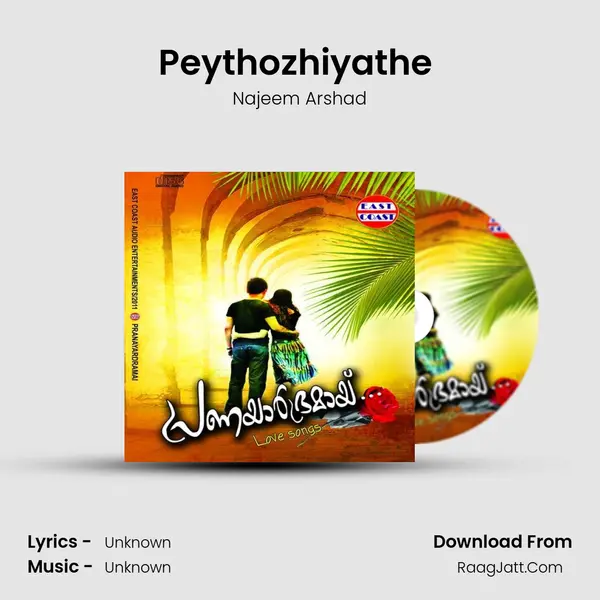 Peythozhiyathe (M) MP3 Song by Najeem Arshad Cover