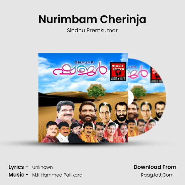 Nurimbam Cherinja MP3 Song by Sindhu Premkumar Cover